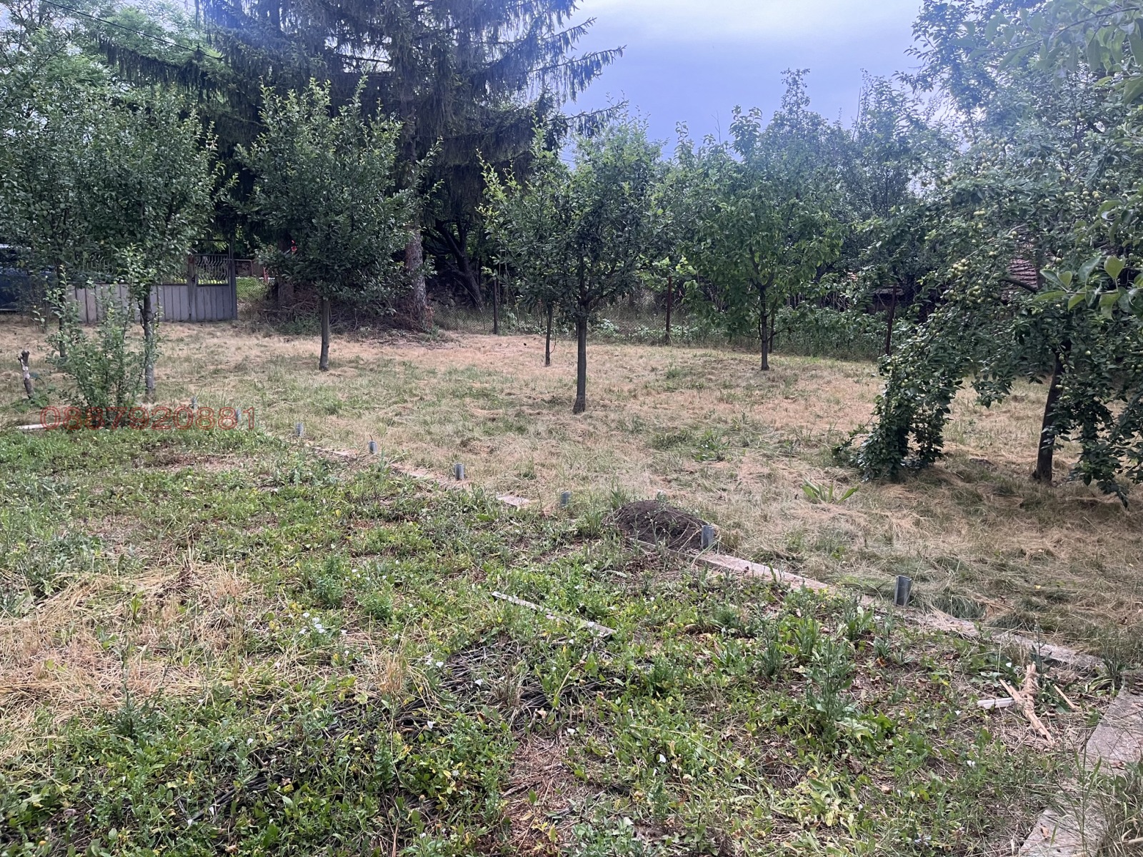 Продава ПАРЦЕЛ, с. Кошарите, област Перник, снимка 12 - Парцели - 55528185