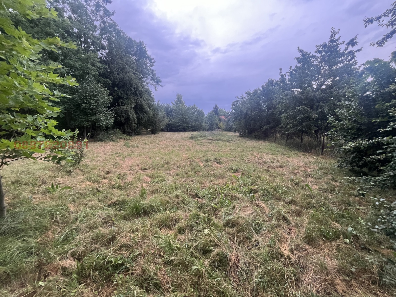 Продава ПАРЦЕЛ, с. Кошарите, област Перник, снимка 8 - Парцели - 55528185