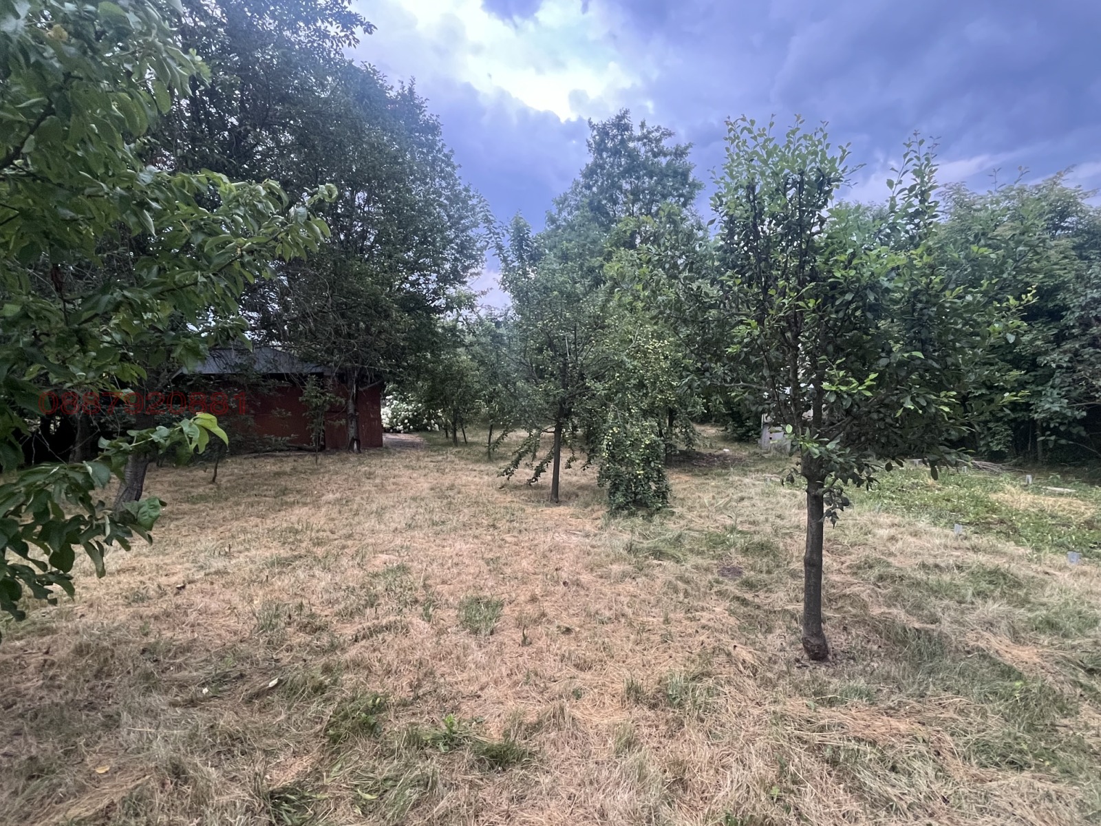 Продава ПАРЦЕЛ, с. Кошарите, област Перник, снимка 4 - Парцели - 55528185