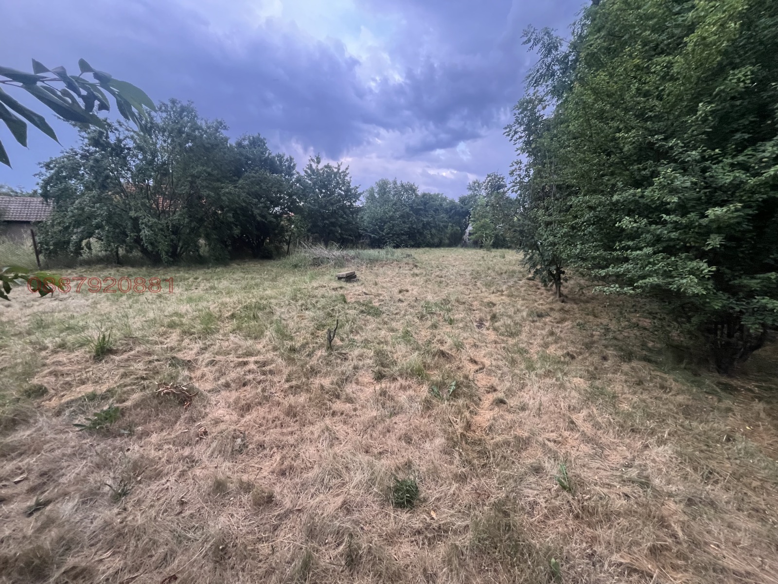 Продава ПАРЦЕЛ, с. Кошарите, област Перник, снимка 5 - Парцели - 55528185