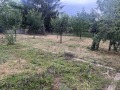 Продава ПАРЦЕЛ, с. Кошарите, област Перник, снимка 12