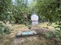 Продава ПАРЦЕЛ, с. Кошарите, област Перник, снимка 11