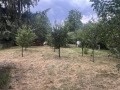 Продава ПАРЦЕЛ, с. Кошарите, област Перник, снимка 3