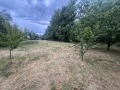 Продава ПАРЦЕЛ, с. Кошарите, област Перник, снимка 9
