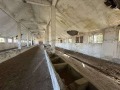 Продава  Пром. помещение област Пловдив , с. Маноле , 5500 кв.м | 80665054 - изображение [2]