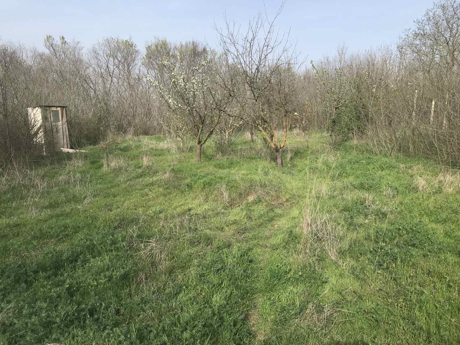 Продава ПАРЦЕЛ | Imot.bg — изображение 2