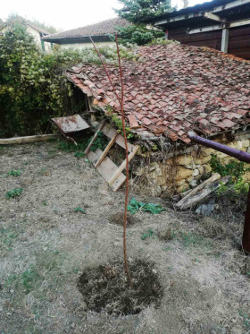 House Sirishtnik, region Pernik 8