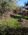 Продава ПАРЦЕЛ, с. Радловци, област Кюстендил, снимка 2