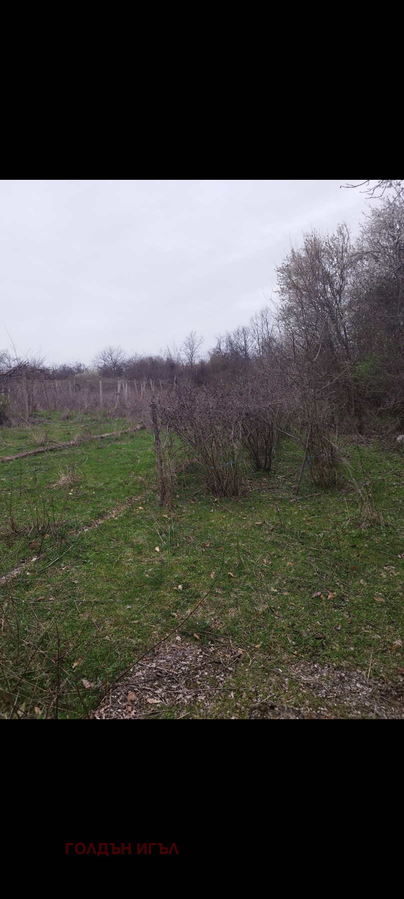������� ������ | Imot.bg � ����������� 3