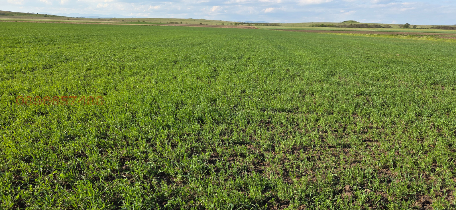 ������� ���������� ���� | Imot.bg � ����������� 4