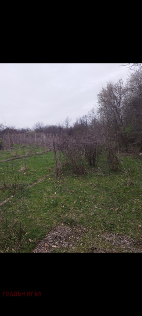 ������� ������ | Imot.bg � ����� ������ 3