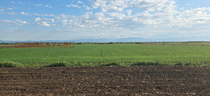 Продава ЗЕМЕДЕЛСКА ЗЕМЯ, с. Болярино, област Пловдив, снимка 2 - Земеделска земя - 53509098