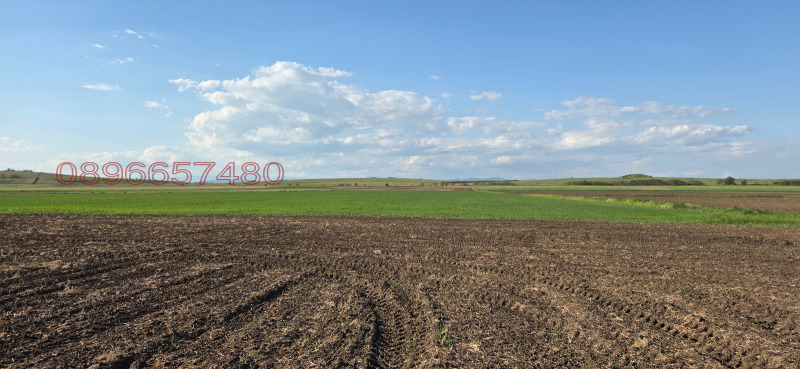 Продава ЗЕМЕДЕЛСКА ЗЕМЯ, с. Болярино, област Пловдив