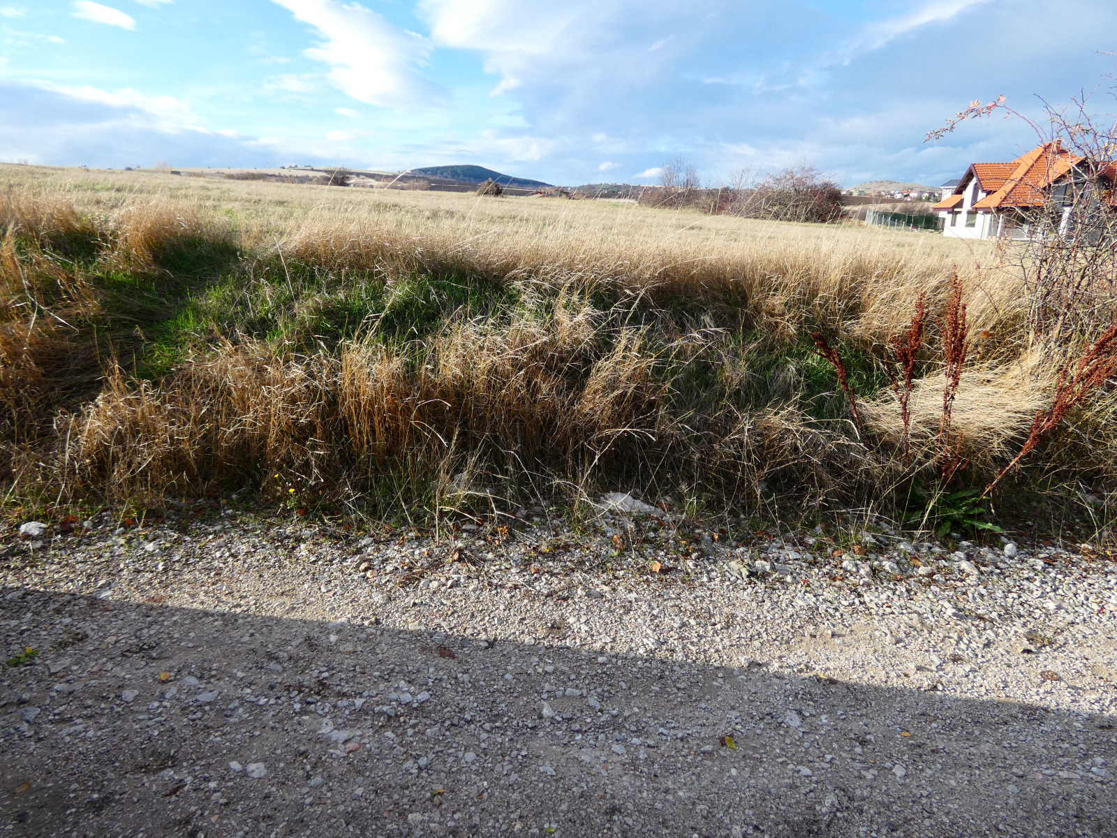 Продава ПАРЦЕЛ, гр. Божурище, област София област, снимка 5 - Парцели - 53605972