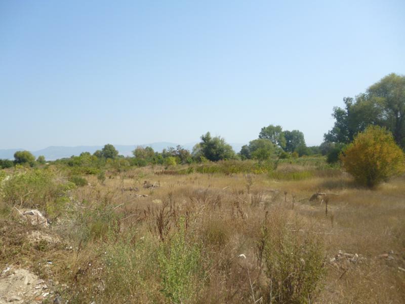 For Sale  Plot Sofia , Krivina , 30159 sq.m | 11235983 - image [2]