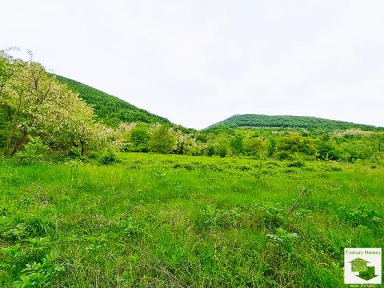Te koop  Verhaallijn regio Veliko Tarnovo , Rosno , 8576 m² | 86434248