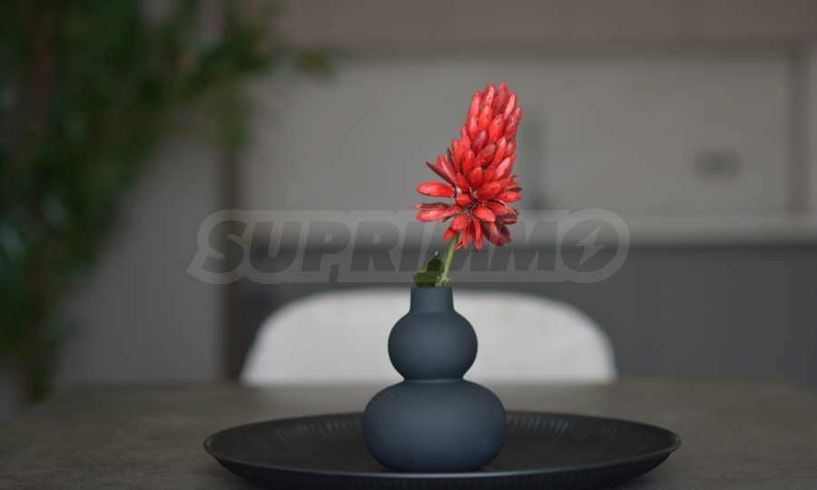 Продава 2-СТАЕН, гр. Пловдив, Христо Смирненски, снимка 13 - Апартаменти - 53982717