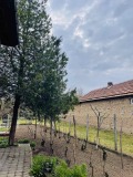 Продава КЪЩА, гр. Койнаре, област Плевен, снимка 7