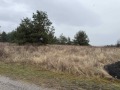 Продава ПАРЦЕЛ, гр. София, с. Плана, снимка 3
