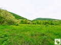 Продава ПАРЦЕЛ, област Велико Търново, с. Росно • 24000 € • 61131328 — Holmes.bg