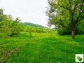 Продава ПАРЦЕЛ, област Велико Търново, с. Росно • 24000 € • 61131328 — Holmes.bg