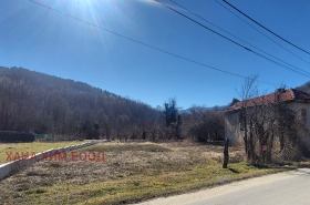 Plot Gorno trape, region Lovech 1