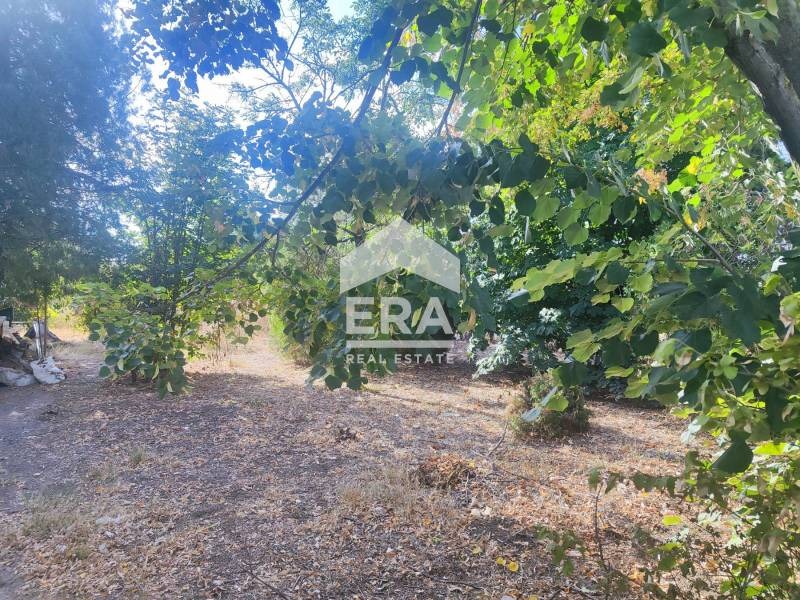Продава  Парцел област Ямбол , с. Кукорево , 610 кв.м | 35555953 - изображение [4]