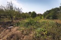 Продава КЪЩА, с. Замфирово, област Монтана, снимка 13