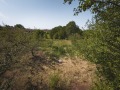 Продава  Къща област Монтана , с. Замфирово , 80 кв.м | 50597536 - изображение [16]