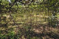 Продава  Къща област Монтана , с. Замфирово , 80 кв.м | 50597536 - изображение [4]