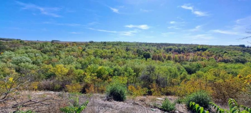 Продава  Парцел, град Плевен, м-т Стражата • 65 000 EUR • ID 57504906 — holmes.bg - [1] 