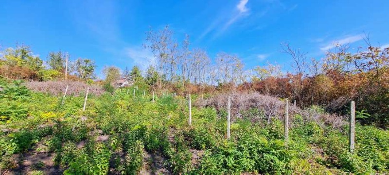 Продава  Парцел град Плевен , м-т Стражата , 2653 кв.м | 22581470 - изображение [3]