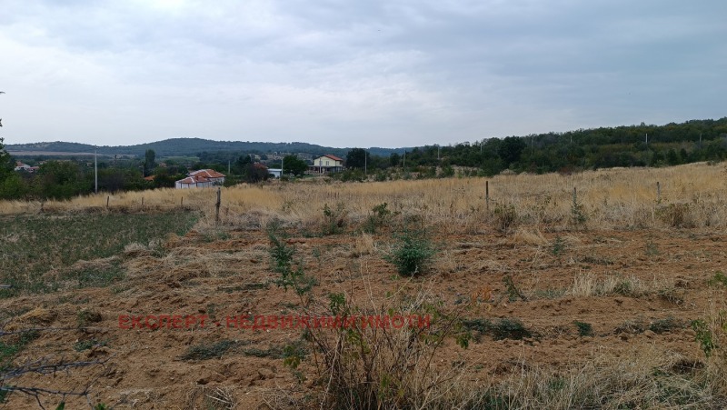 Te koop  Verhaallijn regio Plovdiv , Varben , 1449 m² | 68798234