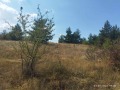 Продава ПАРЦЕЛ, гр. София, с. Бистрица, снимка 11