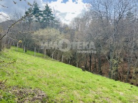 Продава къща област Пловдив с. Бойково - [1] 