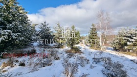 Plott k.k. Pamporovo, region Smolyan