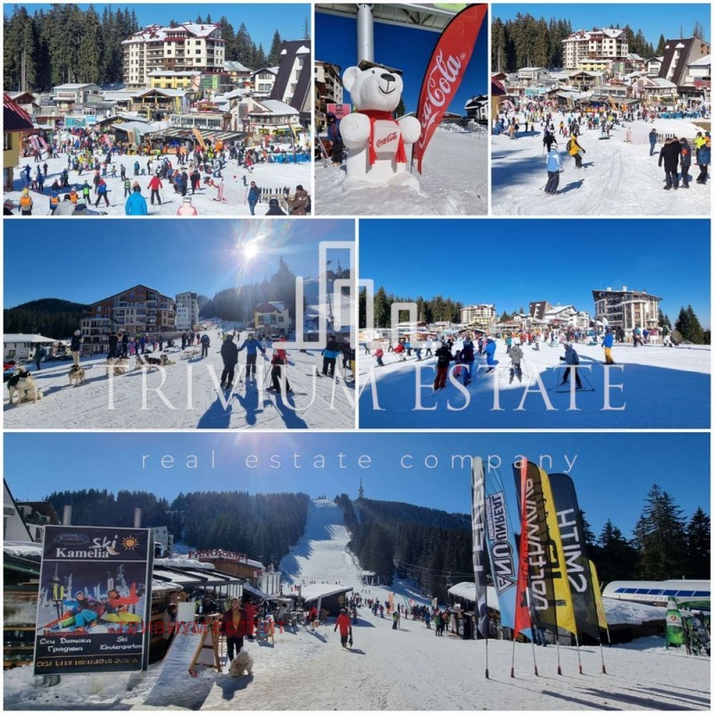 Til salgs  Plott region Smolyan , k.k. Pamporovo , 1781 kvm | 72213330 - bilde [5]