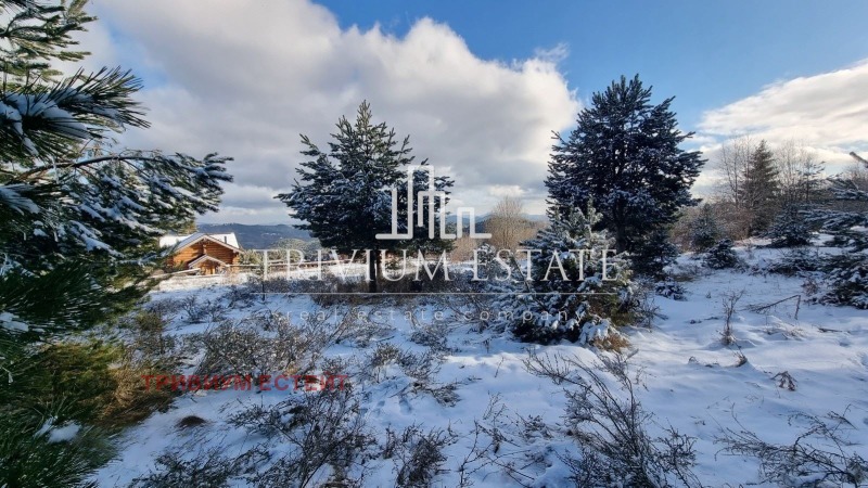 Til salgs  Plott region Smolyan , k.k. Pamporovo , 1781 kvm | 72213330 - bilde [11]