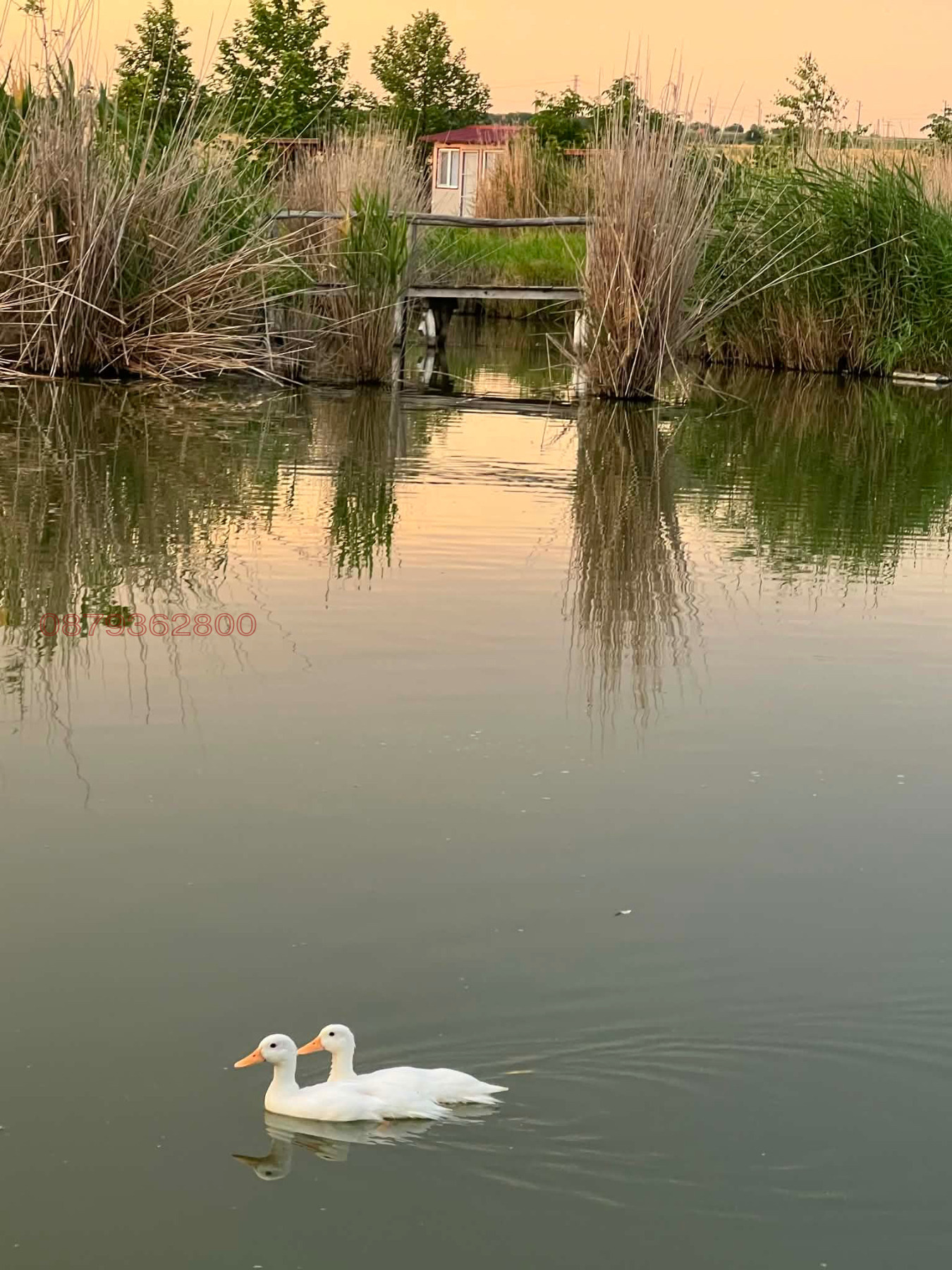 ������� ���� | Imot.bg � ����������� 17
