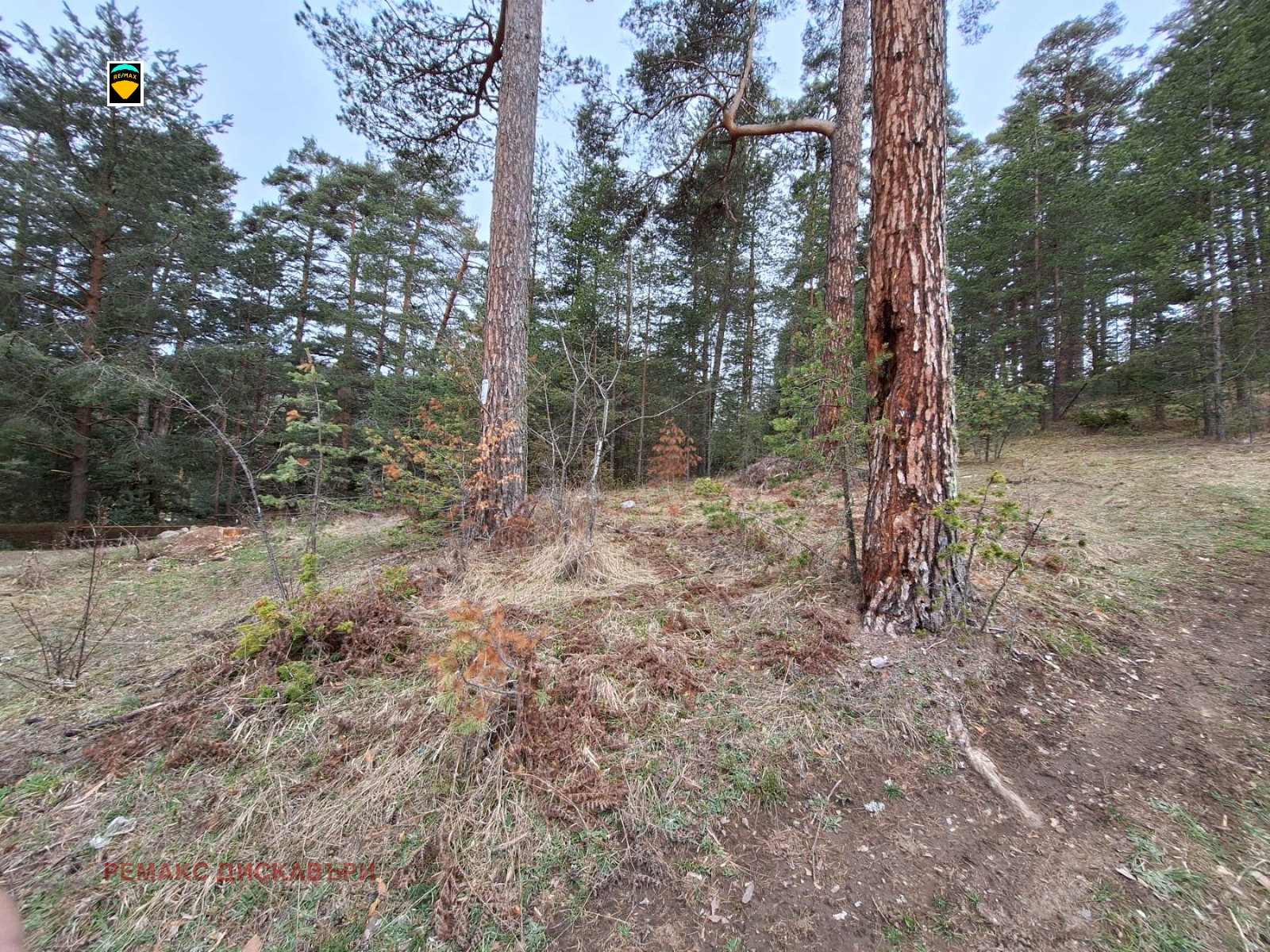 Продава ПАРЦЕЛ | Imot.bg — изображение 4