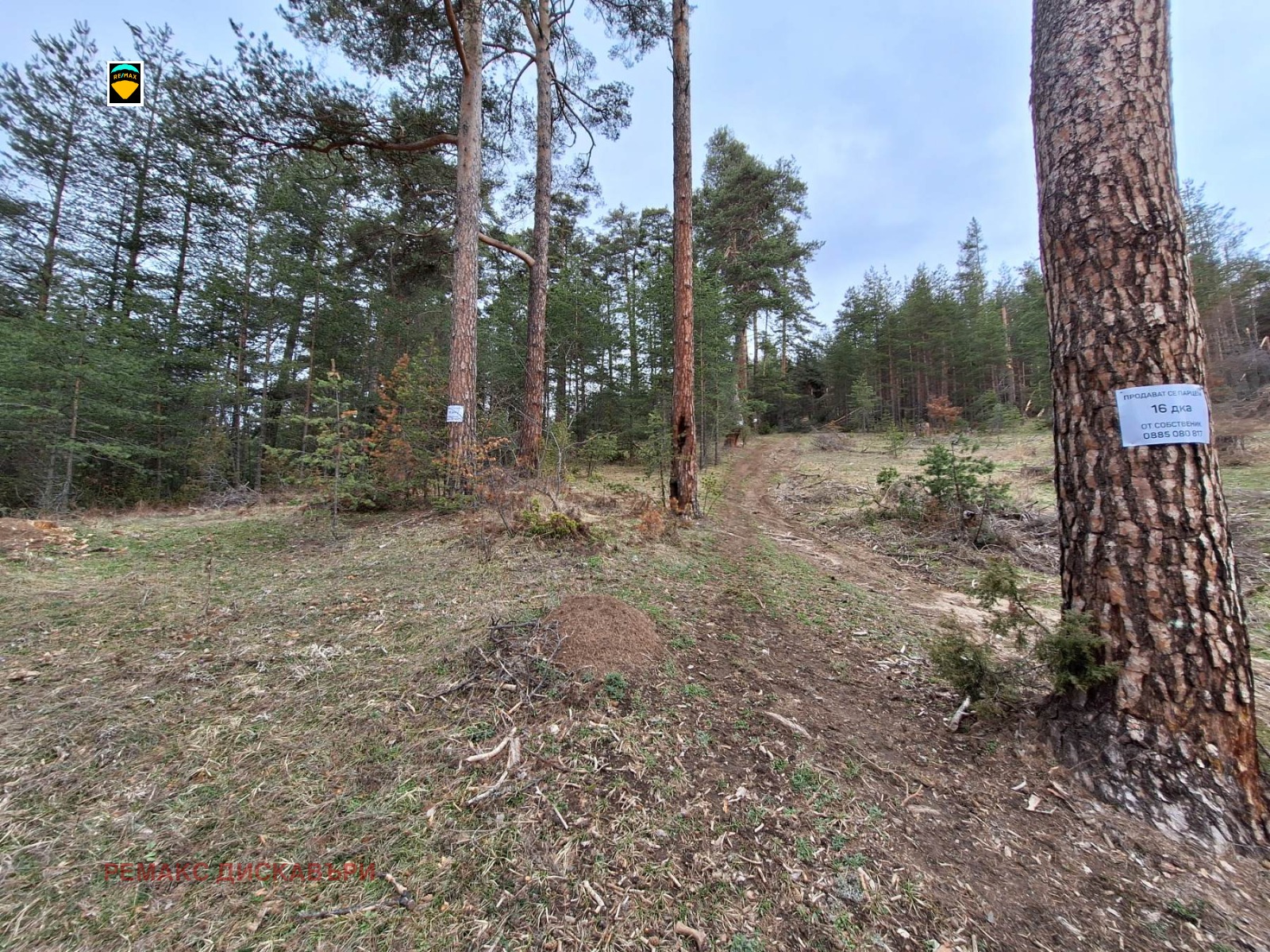 Продава ПАРЦЕЛ | Imot.bg — изображение 3