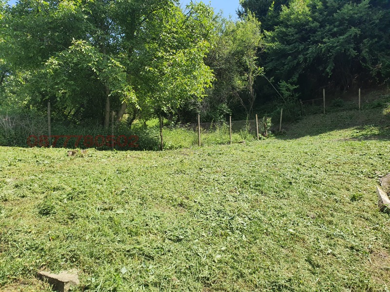 Продава КЪЩА, с. Чифлик, област Ловеч, снимка 3 - Къщи - 52783461