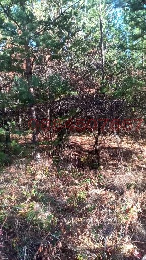 Продава ПАРЦЕЛ, гр. София, гр. Банкя, снимка 5 - Парцели - 56603204
