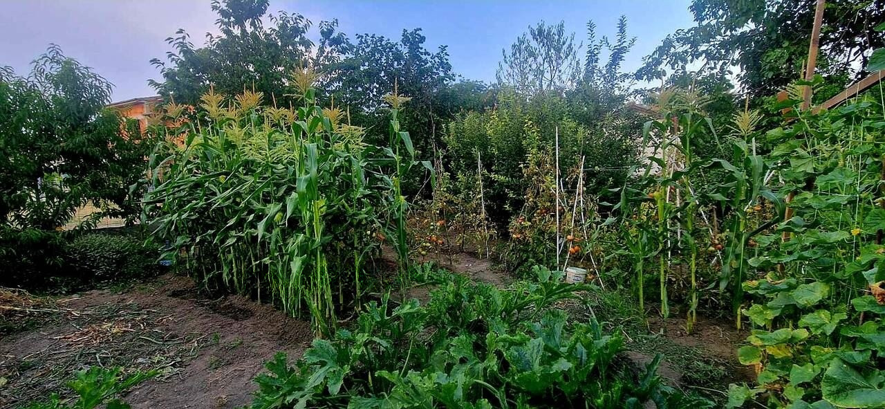 Продава КЪЩА, с. Строево, област Пловдив, снимка 8 - Къщи - 55587470