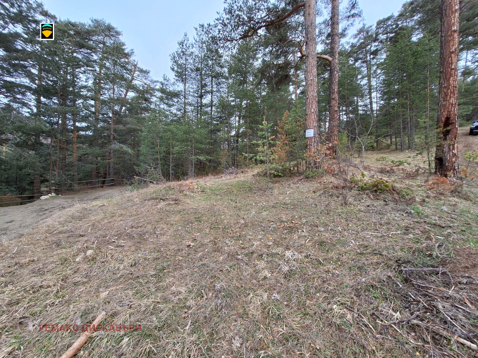 Продава ПАРЦЕЛ, яз. Батак, област Пазарджик, снимка 2 - Парцели - 53232769