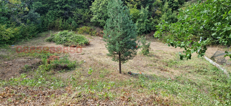 Te koop  Verhaallijn Sofia , Pantsjarevo , 775 m² | 95489575 - afbeelding [5]