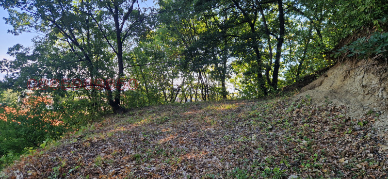 Te koop  Verhaallijn Sofia , Pantsjarevo , 775 m² | 95489575 - afbeelding [6]