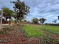 Продава ПАРЦЕЛ, област Добрич, гр. Балчик • 80000 € / 156466.40 лв. • 55942434 2