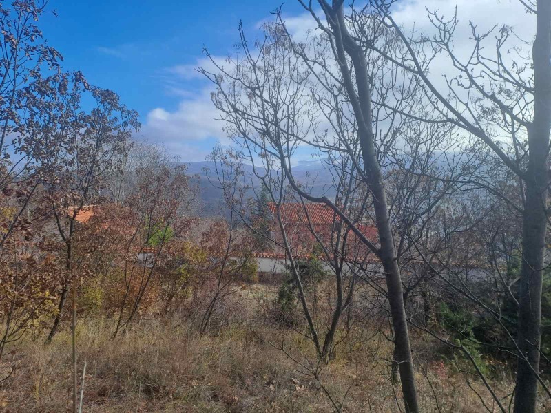 For Sale  Plot region Plovdiv , Hrabrino , 700 sq.m | 30519433 - image [2]