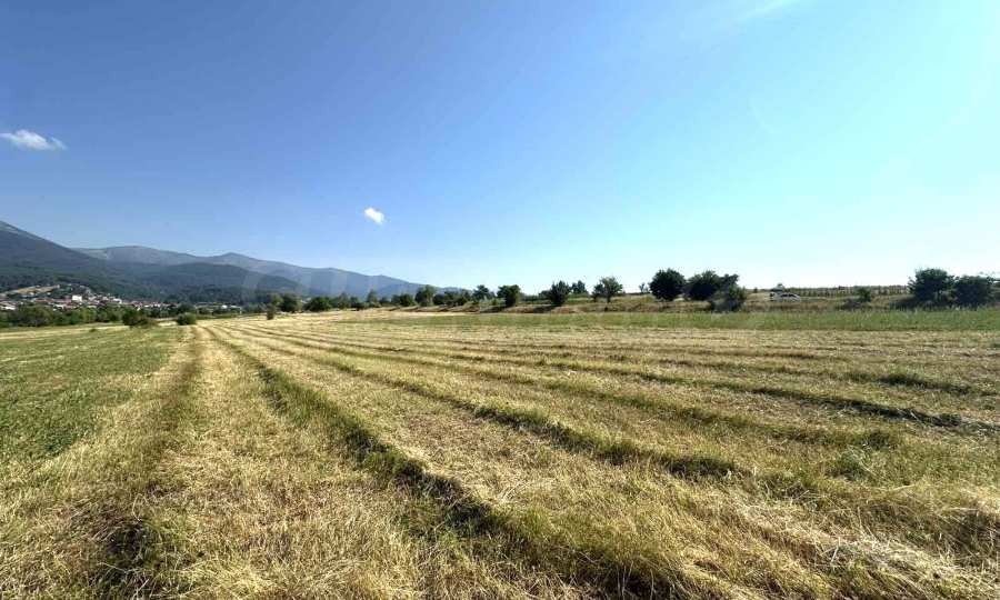 Продава ПАРЦЕЛ, с. Добърско, област Благоевград, снимка 2 - Парцели - 50985263